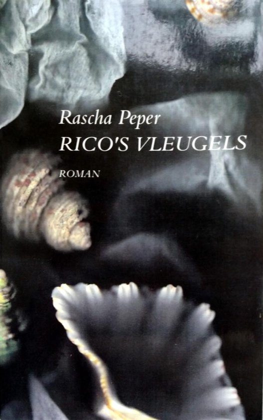 Rico's vleugels