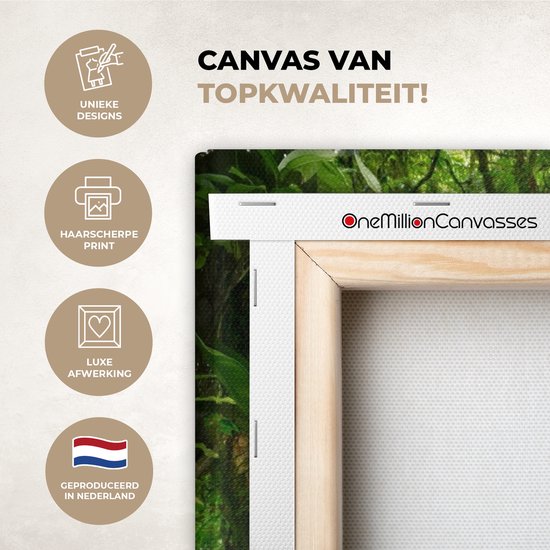 Toile - Peinture - Forêt - Arbres - Jungle - Chemin - Décoration murale Murale - Toile - 90x120 cm