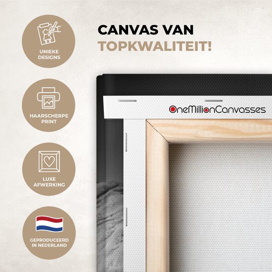 Canvas schilderij - Wilde dieren - Olifanten - Zwart - Wit - Woonkamer - Canvas - 40x80 cm - Muurdecoratie - Canvas doek