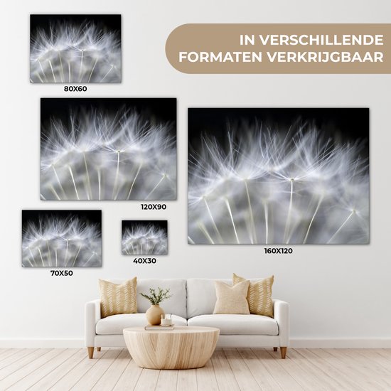 Peinture sur toile - Fleurs - Plantes - Graines - Wit - Canvasdoek - 160x120 cm - Photo sur toile - Peintures sur toile