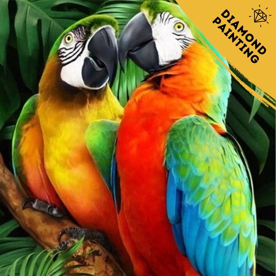 Bijeneter vogel Diamond Painting | Dieren | Diamond Painting