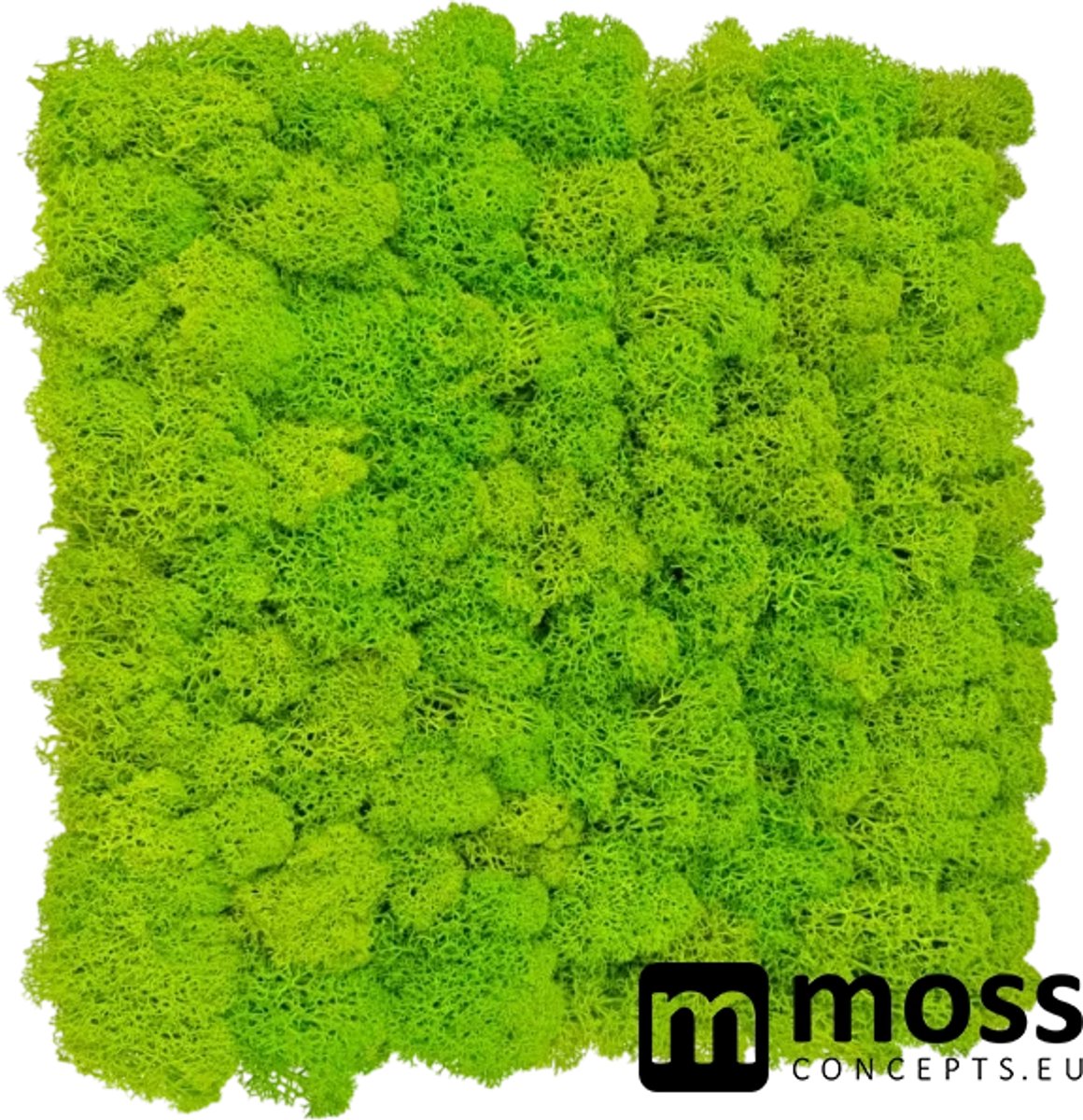 MOSS concepts Moswand paneel rendiermos springgroen