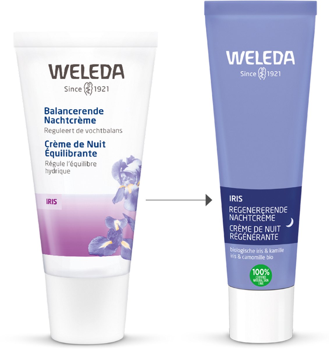 WELEDA Nachtcrème Iris Regenererende 30 ml