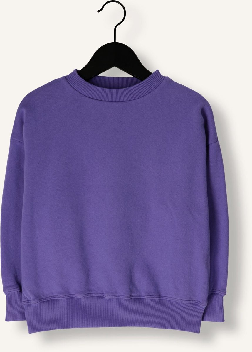 JENEST Art Bird Sweater Truien & Vesten Meisjes - Sweater - Hoodie - Vest- Paars - Maat 98/104