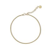 Goudkleurige gourmet armband op een witte achtergrond, met een verlengketting en een rond Amberz logo.