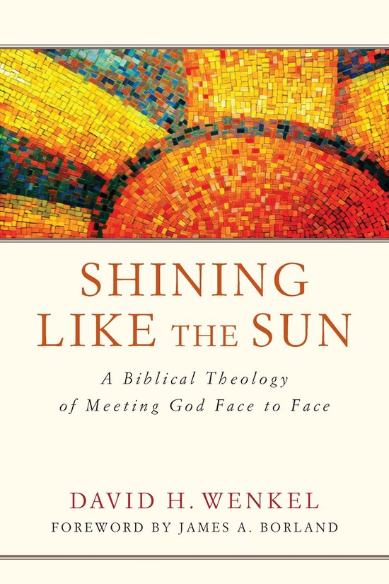 Boek kaft met mozaïek van een zon in rode, oranje, gele en blauwe tinten. Titel: Shining Like the Sun.