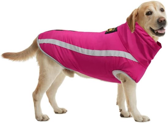 Een witte hond in een roze winterjas met reflecterende strepen, op witte achtergrond.