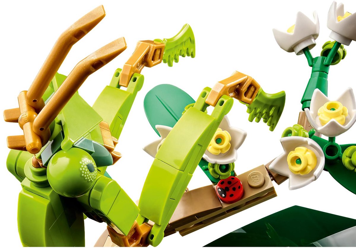 LEGO Ideas De Insectencollectie - 21342 — afbeelding 20