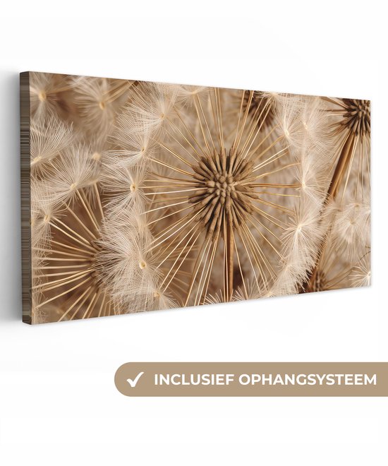Canvas schilderij 160x80 cm - Wanddecoratie Paardenbloem - Bloemen - Natuur - Bruin - Muurdecoratie woonkamer - Slaapkamer decoratie - Kamer accessoires - Schilderijen op canvas