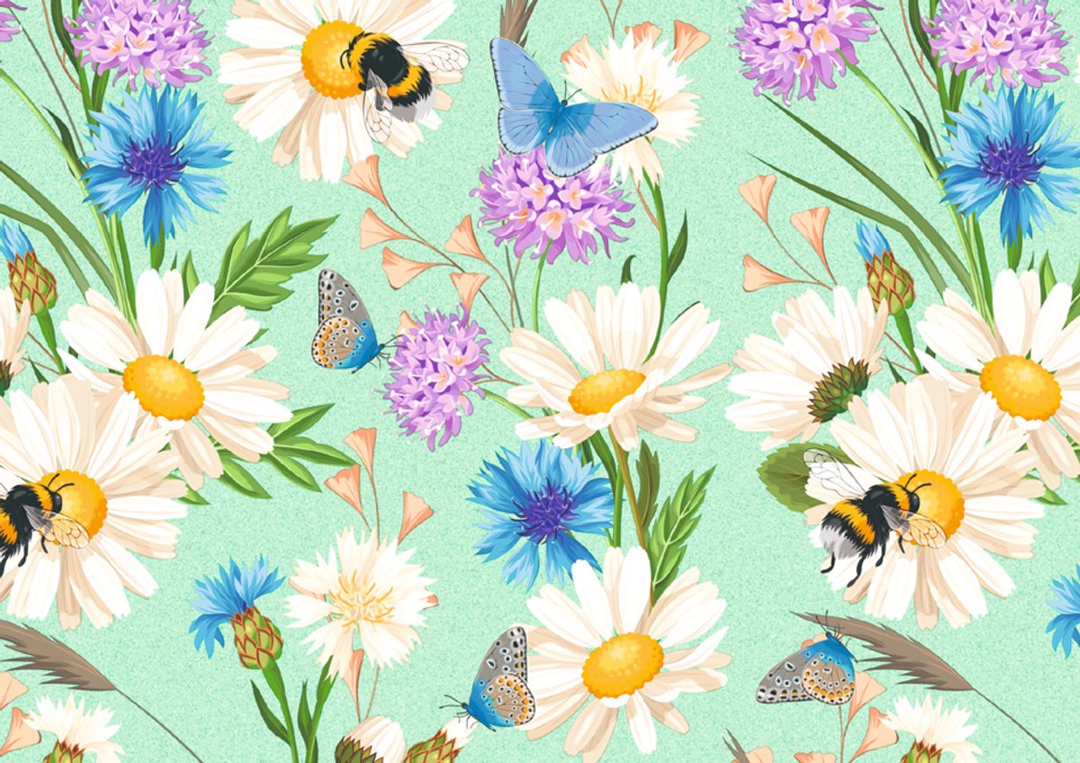 SUSY CARD cadeaupapier 'Bloemenveld', op rol