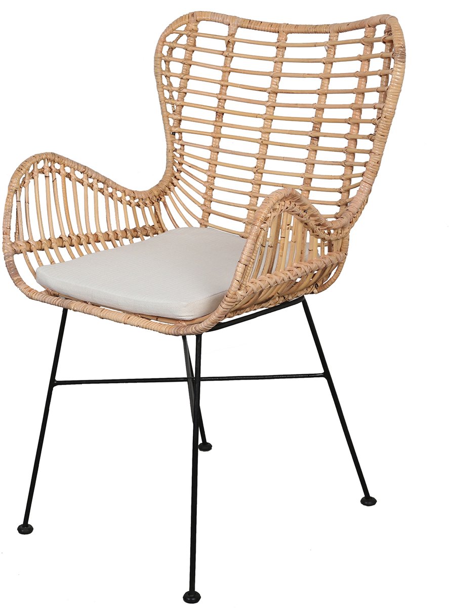 Rotan fauteuil - eetkamerstoel