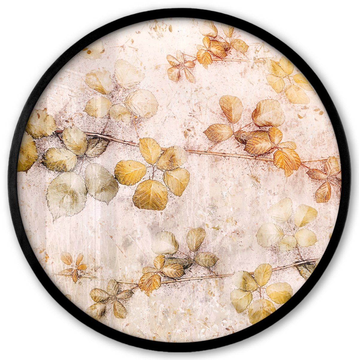 FrameYourWall Poster in lijst Rond - Fotolijst 40x40 cm - Posters - Bloemen - Bladeren - Kunst - Verf - Ronde posterlijst zwart - Decoratie - Wanddecoratie woonkamer - Muurdecoratie slaapkamer