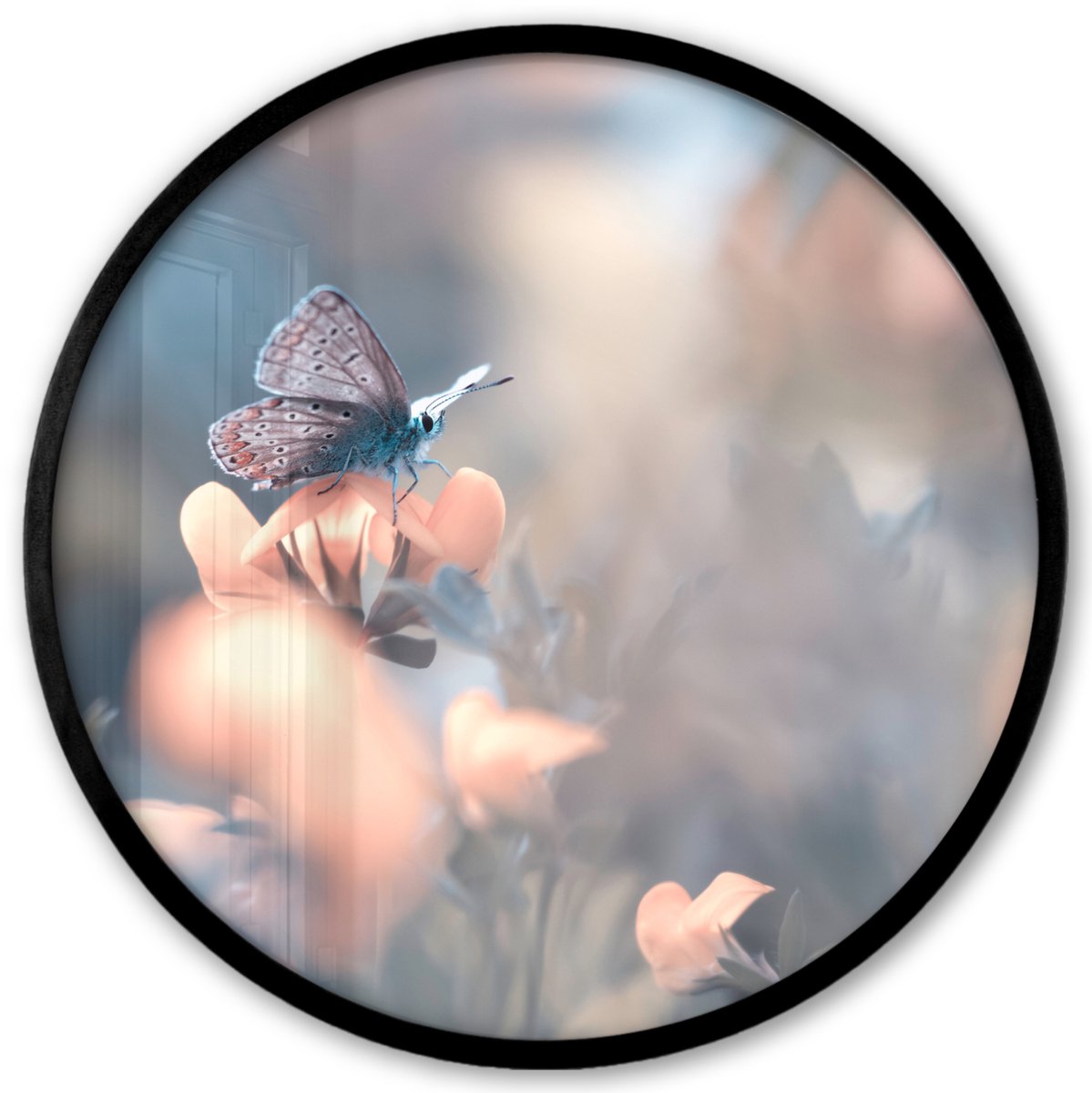 FrameYourWall Poster in lijst Rond - Fotolijst 40x40 cm - Posters - Bloemen - Vlinder - Natuur - Botanisch - Ronde posterlijst zwart - Decoratie - Wanddecoratie woonkamer - Muurdecoratie slaapkamer Multicolor