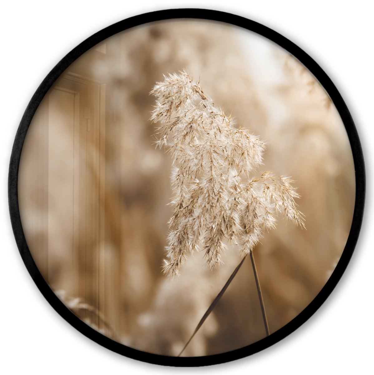 FrameYourWall Poster in lijst Rond - Fotolijst 40x40 cm - Posters - Riet - Plant - Natuur - Beige - Ronde posterlijst zwart - Decoratie - Wanddecoratie woonkamer - Muurdecoratie slaapkamer Multicolor