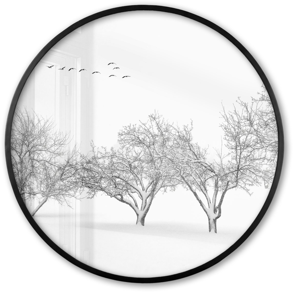 FrameYourWall Poster in lijst Rond - Fotolijst 60x60 cm - Posters - Bomen - Zwart wit - Natuur - Vogels - Ronde posterlijst zwart - Decoratie - Wanddecoratie woonkamer - Muurdecoratie slaapkamer Multicolor