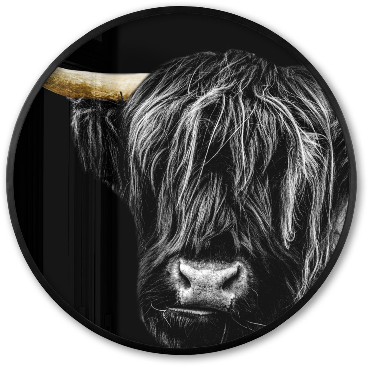 FrameYourWall Poster in lijst Rond - Fotolijst 60x60 cm - Posters - Schotse hooglander - Goud - Vacht - Dieren - Koe - Ronde posterlijst zwart - Decoratie - Wanddecoratie woonkamer - Muurdecoratie slaapkamer