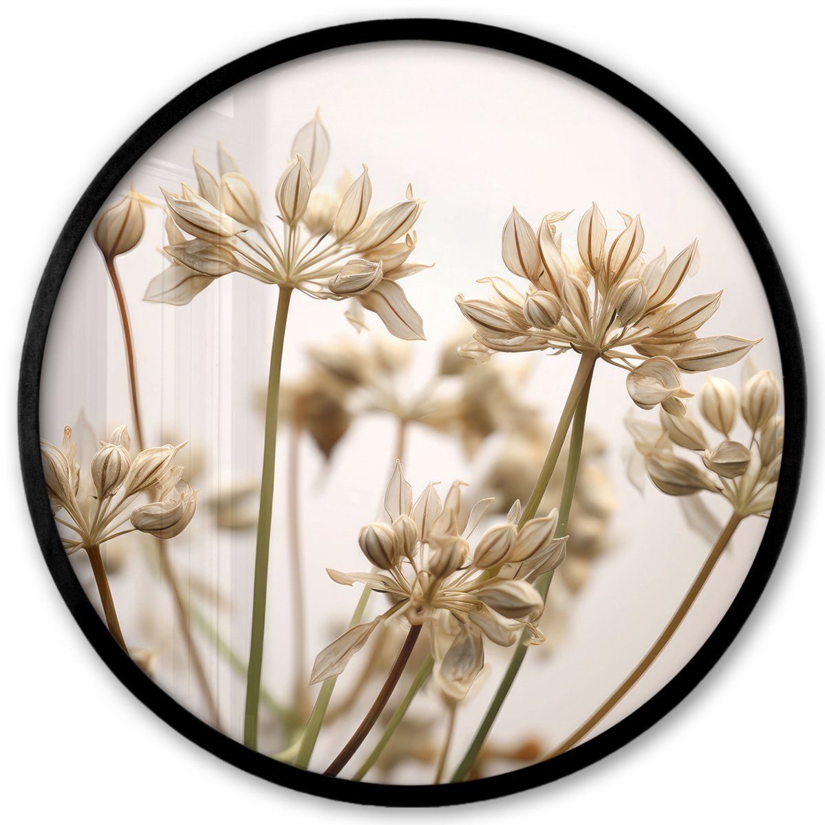 FrameYourWall Poster in lijst Rond - Fotolijst 40x40 cm - Posters - Droogbloemen - Beige - Wit - Planten - Ronde posterlijst zwart - Decoratie - Wanddecoratie woonkamer - Muurdecoratie slaapkamer Foto planten