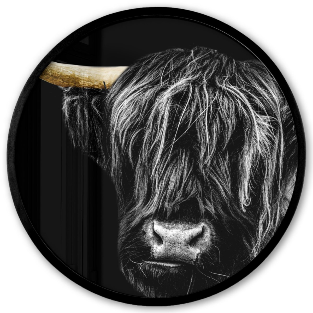 FrameYourWall Poster in lijst Rond - Fotolijst 40x40 cm - Posters - Schotse hooglander - Goud - Vacht - Dieren - Koe - Ronde posterlijst zwart - Decoratie - Wanddecoratie woonkamer - Muurdecoratie slaapkamer