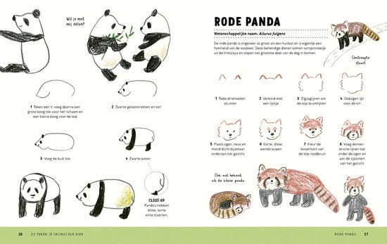 Zo teken je (bijna) elk dier