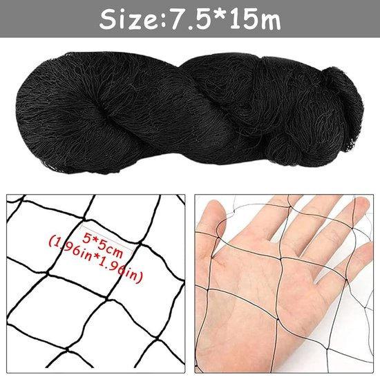 994301_6
