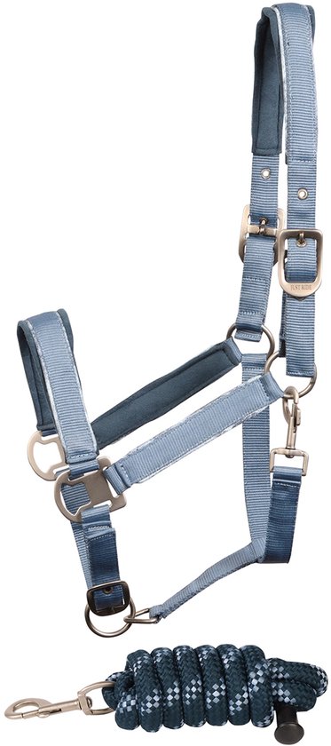 Guinzaglio per Cane - Misura 25mm x 120cm - Colore Marrone