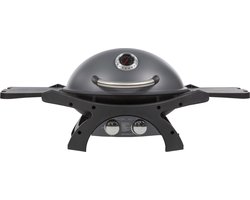Pit Boss Sportsman 2 | Tafel Grill - Camping Gas BBQ - Barbecue
