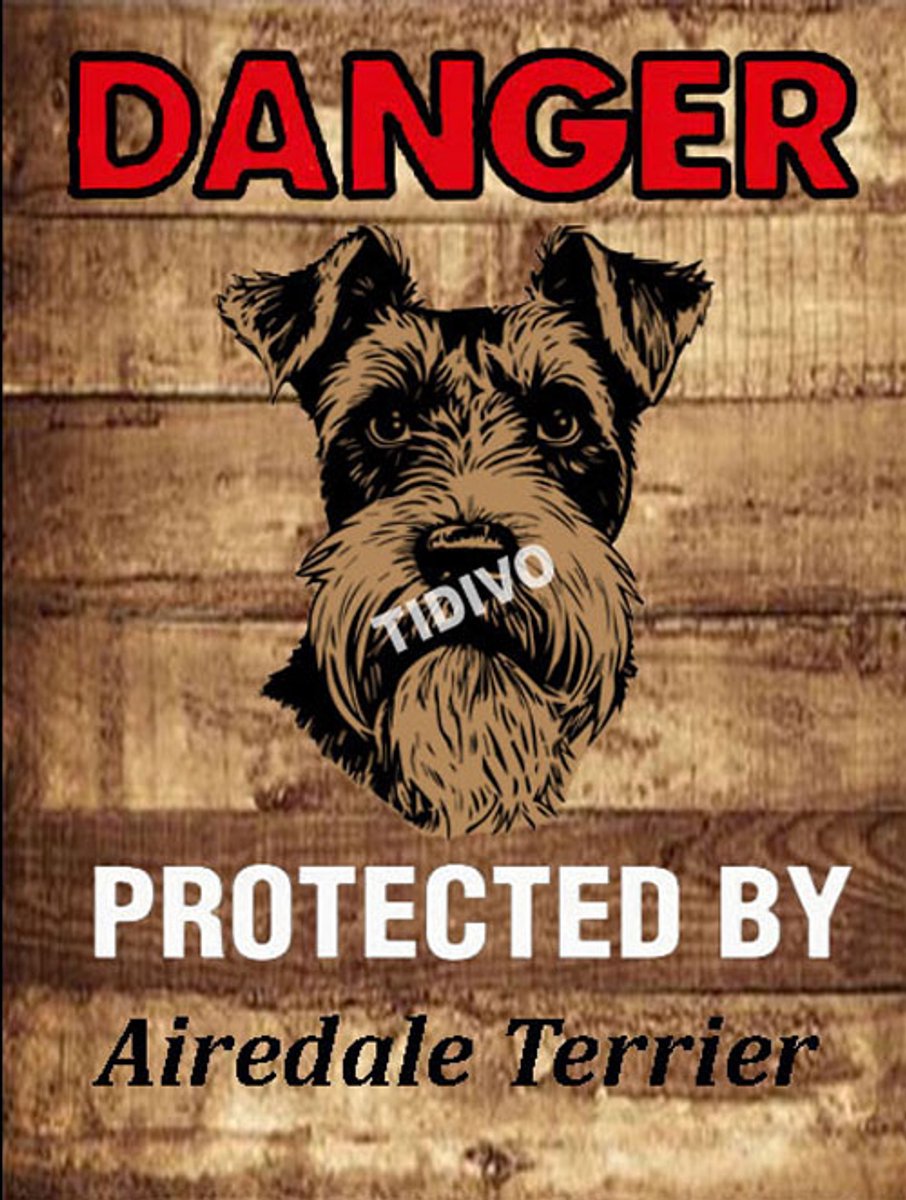 Airedale Terrier 19