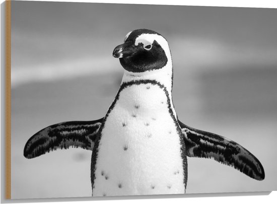 TY Beanie Babies 2000 Frigid the Penguin Plush Toy New With Hang Tag - We-R-Toys TY Beanie Babies 2000 Frigid the Penguin Plush Toy New With Hang Tag - We-R-Toys