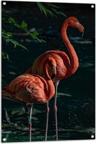 WallClassics - Tuinposter – Twee Flamingos in de Schaduw - 70x105 cm Foto op Tuinposter  (wanddecoratie voor buiten en binnen)