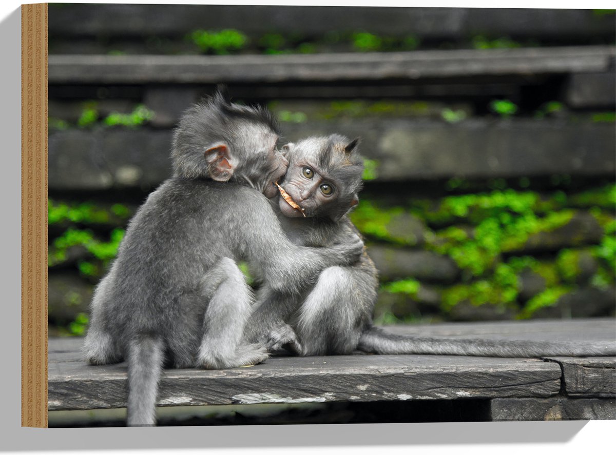 Hout - Knuffelende Aapjes op een Bankje - 40x30 cm - 12 mm dik - Foto op Hout (Met Ophangsysteem)