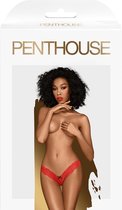PENTHOUSE TANGAS | Penthouse Dangerous Darling Thong Red S/m