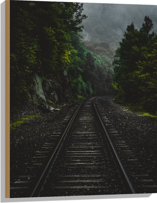 WallClassics - Bois - Voie ferrée entre Forêts vertes - 60x80 cm - 12 mm d'épaisseur - Photo sur bois (avec système de suspension)