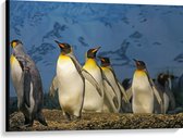 WallClassics - Toile - Manchots empereurs en rangée - 100x75 cm Photo sur toile (Décoration murale sur toile)