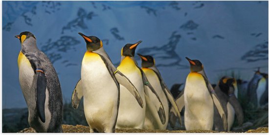WallClassics - Poster Glossy - Pingouins Empereurs dans une Rangée - 100x50 cm Photo sur Papier Poster avec Finition Brillante