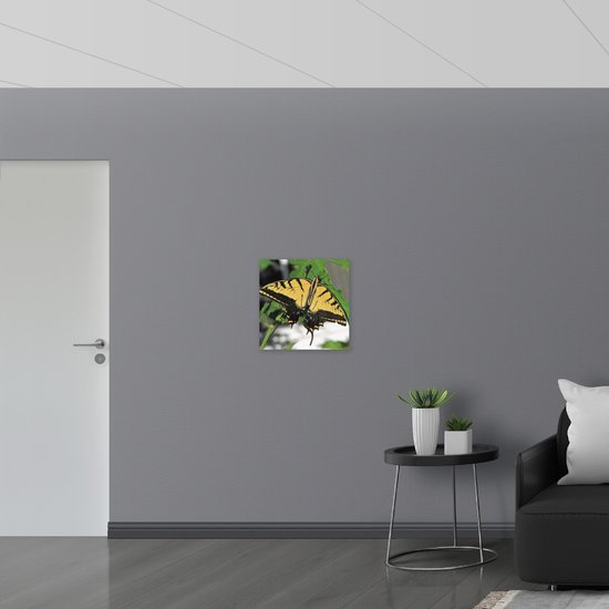 WallClassics - Verre acrylique - Papillon jaune/noir sur plante verte - Photo 50x50 cm sur verre acrylique (Décoration murale sur acrylique)