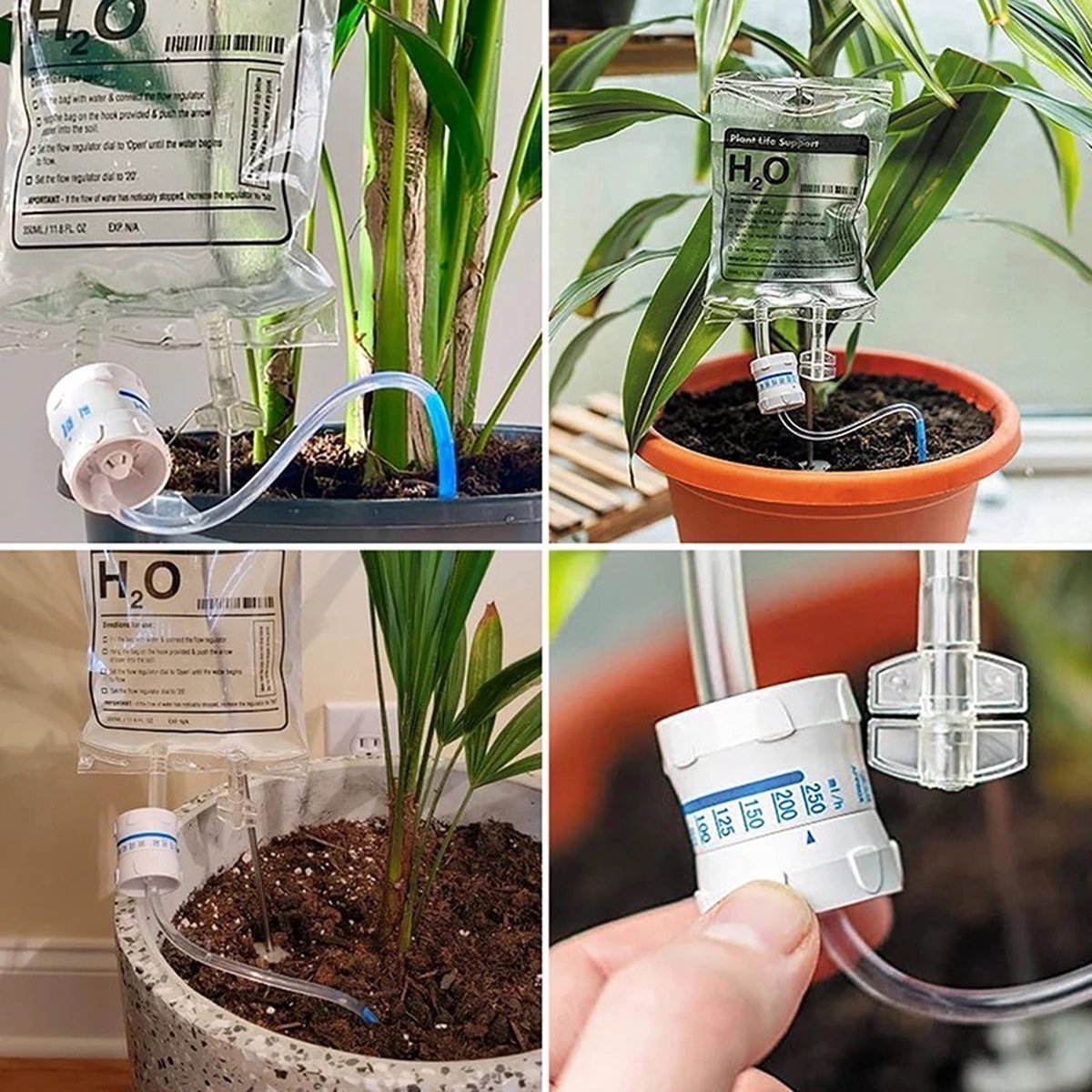 infusion de plant H2o - Goutteur d'eau - Arrosage automatique des plantes -  Irrigation... | bol.com