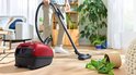Man stofzuigt houten vloer in woonkamer met rode Bosch stofzuiger. Vallende plant.