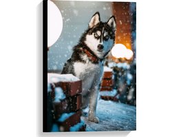 WallClassics - Canvas - Siberische husky in de Sneeuw - 40x60 cm Foto op Canvas Schilderij (Wanddecoratie op Canvas)