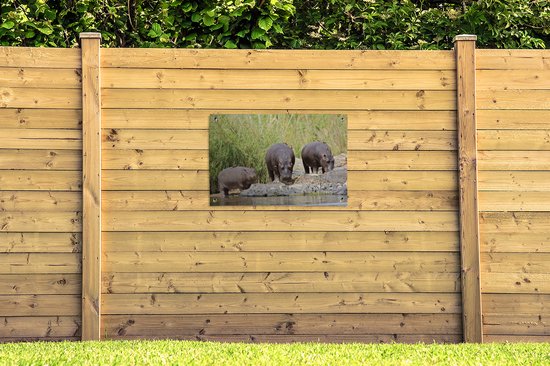 Posters de jardin extérieur Hippopotames - Water - Afrique du Sud - 90x60 cm - Toile jardin - Affiche extérieure