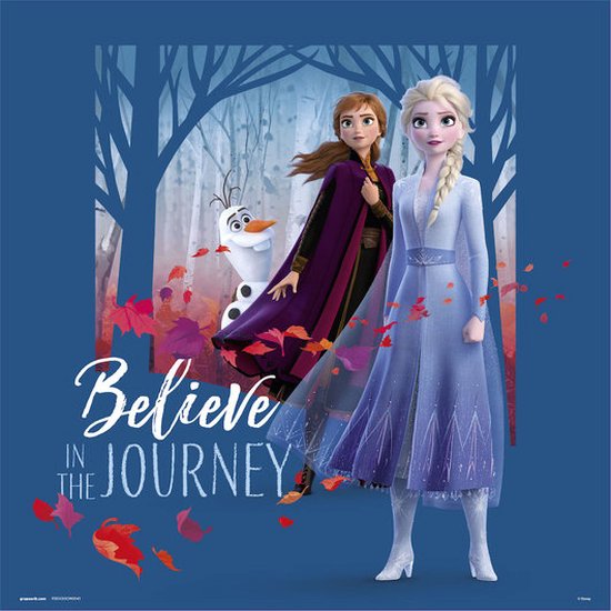 Disney Frozen Believe in the Journey - Art Print 30x30 cm