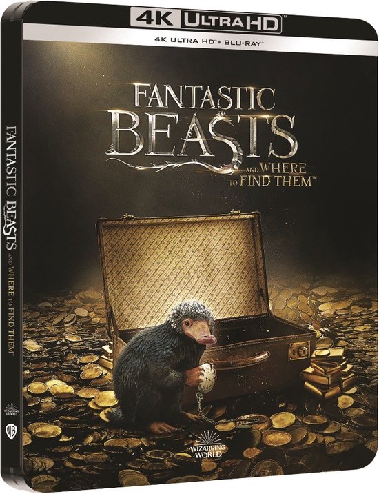 Fantastic Beasts And Where To Find Them (4K Ultra HD Blu-ray) (Steelbook)