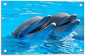 WallClassics - Tuinposter – Twee Blije Dolfijnen in het Water - 60x40 cm Foto op Tuinposter  (wanddecoratie voor buiten en binnen)