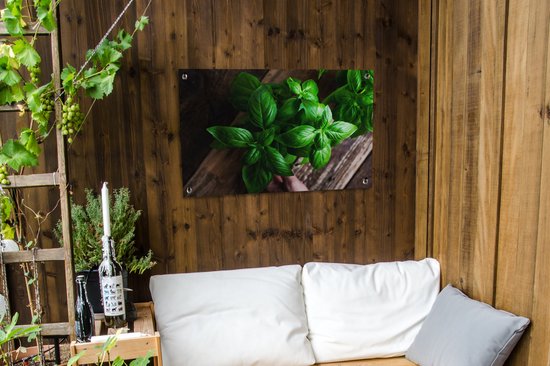 Tuinposters buiten Basilicum planten - 90x60 cm - Tuindoek - Buitenposter