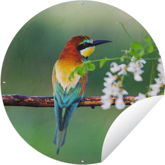 Foto: Tuincirkel vogel bijeneter bloemen 120x120 cm ronde tuinposter buiten xxl groot formaat 
