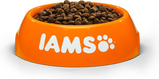 Gang achtergrond Verpersoonlijking IAMS Kitten kattenvoer 3 kg - Merken | bol.com