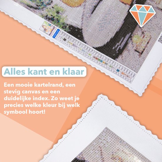 Dromenvanger Diamond painting aanbieding bij Kruidvat