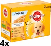 Pedigree - In Gelei - Junior - 4 verpakkingen van 12x100 g - Multipack Maaltijdzakjes