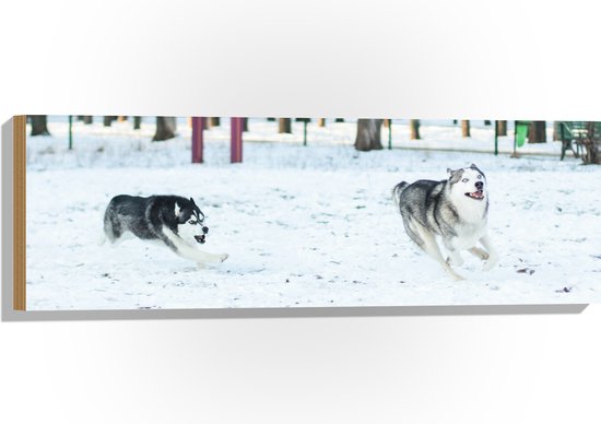 WallClassics - Hout - Siberische Husky Spelend in de Sneeuw - 90x30 cm - 12 mm dik - Foto op Hout (Met Ophangsysteem)