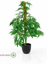 Nep Wietplant Met Top - 60cm