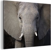 Wanddecoratie Metaal - Aluminium Schilderij Industrieel - Close-up van een olifant - 40x30 cm - Dibond - Foto op aluminium - Industriële muurdecoratie - Voor de woonkamer/slaapkamer